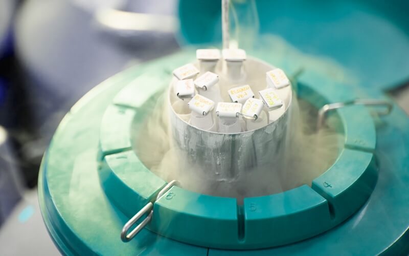 Chillded Sperm Genetic Services