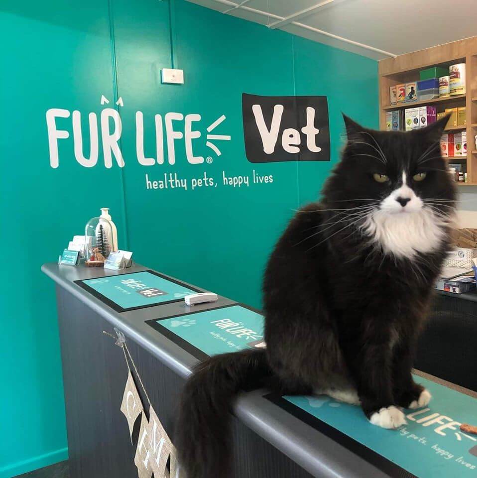 Fur Life Vet Companion Animals