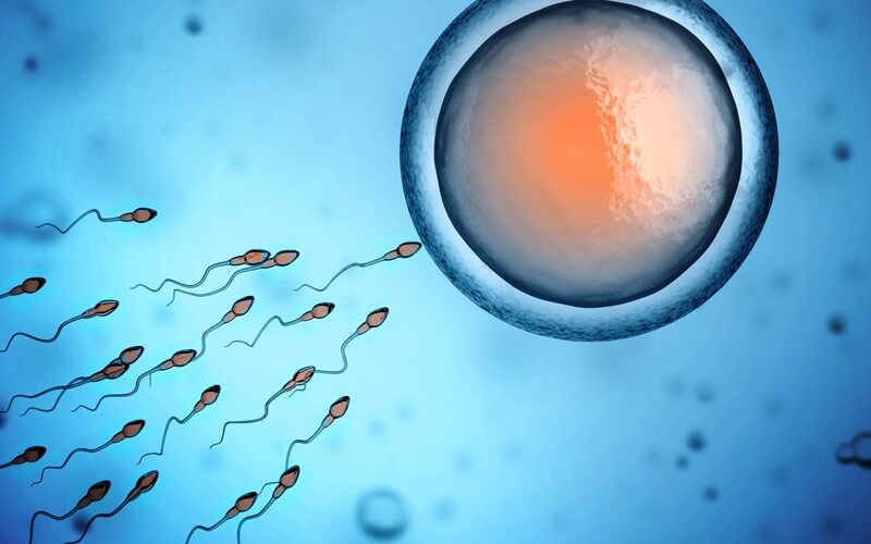 Quality Assurance Genetic Services